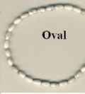 Klik her for at se flere billeder og f mere information om varen:  Glasperler Oval - HVID Howlite - 6x9mm