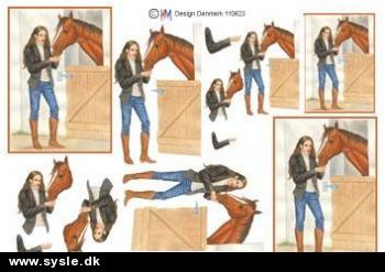 0623 - 3D Hestepige i stald - 2+1 kort, 1ark 