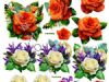 3D Blomster/Frugter