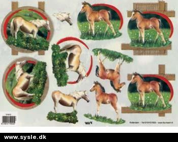 4053 - 3D Hest og føl på græs - 2 kort 