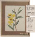 Klik her for at se flere billeder og f mere information om varen:  Hv 16-82-49 Mønster: 4:4 Broderet Orkide - Dendrobium (org)