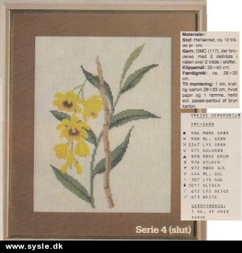 Hv 16-82-49 Mønster: 4:4 Broderet Orkide - Dendrobium (org)