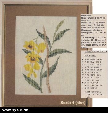 Hv 16-82-49: Mønster: 4:4 Broderet Orkide - Dendrobium *org*