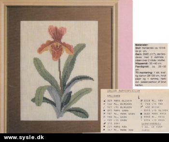 Hv 15-82-40: Mønster: 3:4 Broderet Orkide - Paphiopedilum *org*