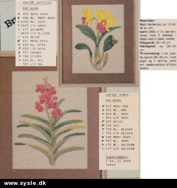 Hv 14-82-53 Mønster: 2:4 Broderet Orkide - Vanda/Cattleya (org)