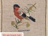 Brogede fugle 1954-1955