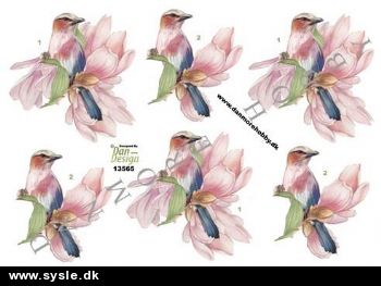 13565 - 3D ark, Fugle på blomst - 3 kort 1 ark