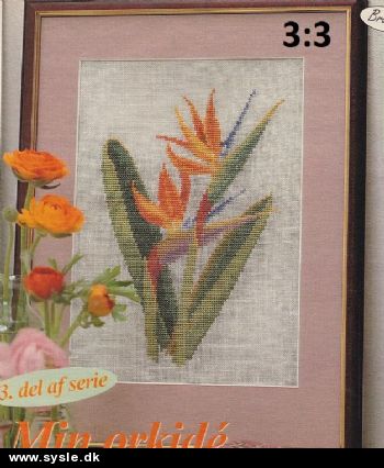 Hv 05-01-61: Mønster: 3:3 Broderet Orkide - Strelizia reginae *org*