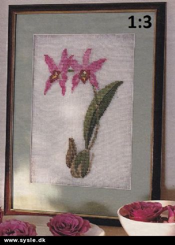 Hv 03-01-57: Mønster: 1:3 Broderet Orkide - Laelia anceps *org*