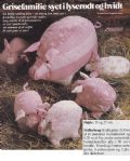 Klik her for at se flere billeder og f� mere information om varen:&nbsp; Ao 12-81-19: Mønster: Sy store og små Grise- 13-25cm *org*