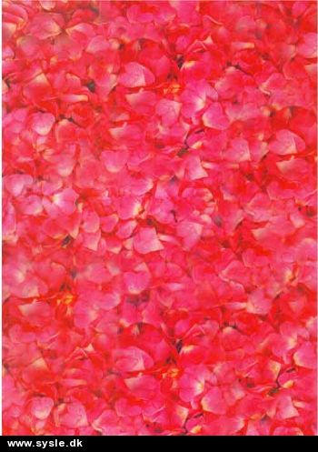 A4 Vellum, Blomster Rød/Rosa - 1 ark.
