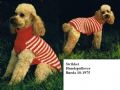 Klik her for at se flere billeder og få mere information om varen:  Bu 10-75-29 Mønster: Strik - Hundepullover i Rød og Hvid *PDF fil*