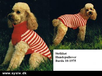 Bu 10-75-29: Mønster: Strik - Hundepullover i Rød og Hvid *PDF fil*