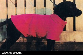 Ao 54-77-03: Mønster: Strik - Rullekravetrøje til Hund *org*